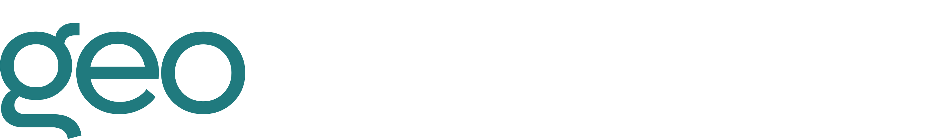 Geosemantics Logo